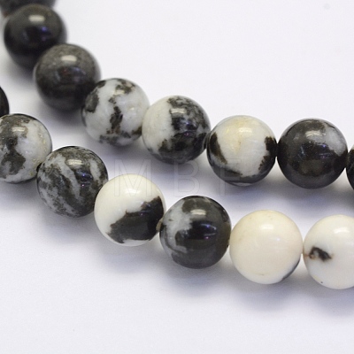 Natural Black Zebra Jasper Beads Strands G-G697-F02-6mm-1