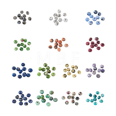 Craftdady 350Pcs 14 Colors Natural Sesame Jasper/Kiwi Jasper Beads G-CD0001-13-1