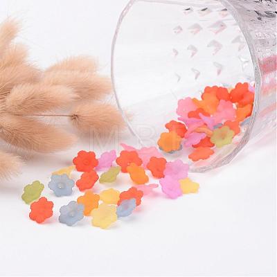 Mixed Color Transparent Frosted Acrylic Flower Bead Caps X-PL561M-1