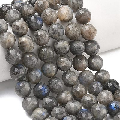 Natural Labradorite Beads Strands G-L642-F07-12mm-1