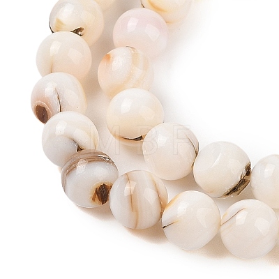 Natural Freshwater Shell Beads Strands SHEL-T011-02-8mm-1