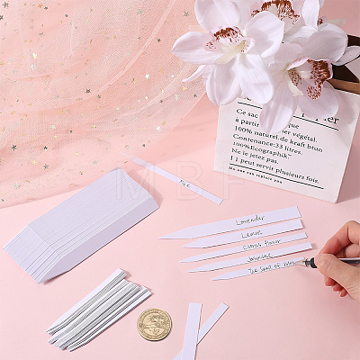 CRASPIRE 500Pcs 5 Style Perfume Paper Test Strips DIY-CP0009-88-1