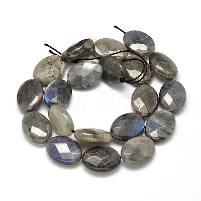 Flat Oval Natural Labradorite Bead Strands G-L357A-12-1