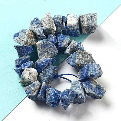 Raw Rough Natural Lapis Lazuli Beads Strands G-P528-A14-01-1
