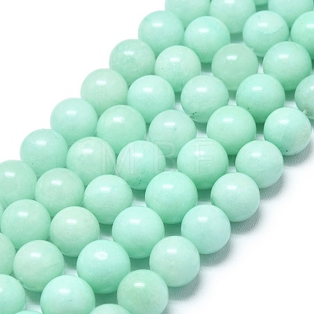 Natural Malaysia Jade Beads Strands G-L645-A01-10mm-31-1