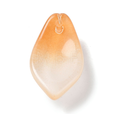 Two Tone Glass Pendants GLAA-A011-02C-1