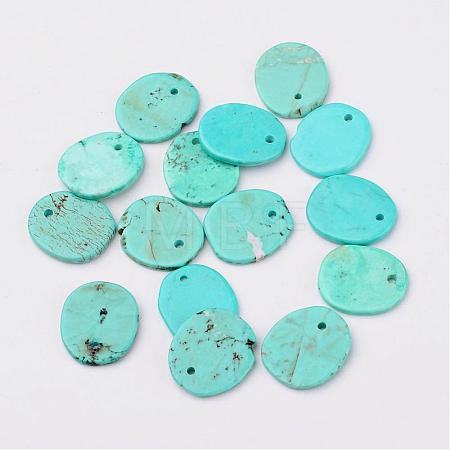 Natural Howlite Charms TURQ-G929-B02-1