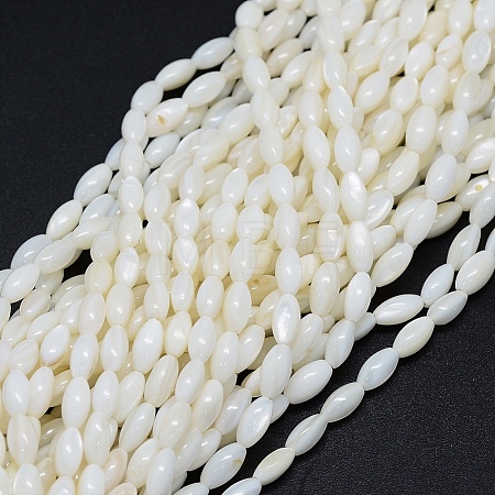 Dyed Natural Shell Beads Strands BSHE-E023-01C-1
