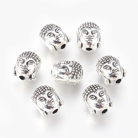Tibetan Style Alloy Beads PALLOY-P144-18AS-1