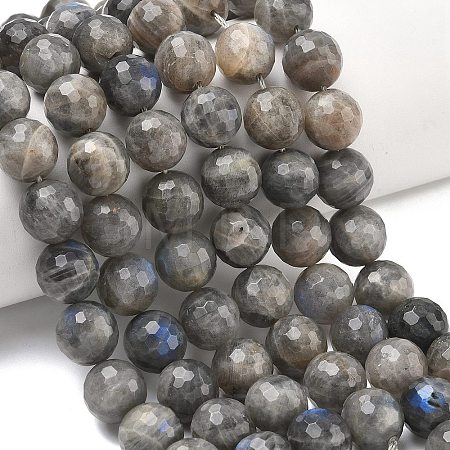 Natural Labradorite Beads Strands G-L642-F07-12mm-1