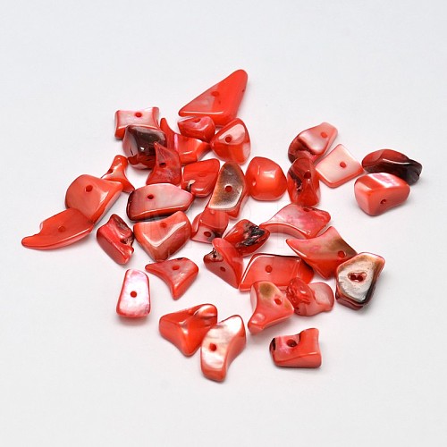 Dyed Natural Shell Nuggets Chips Beads BSHE-O007-04B-1