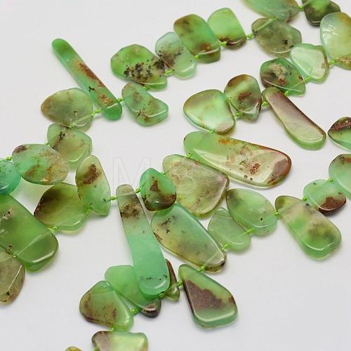 Natural Chrysoprase Beads Strands G-G695-03-1