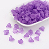 Transparent Acrylic Beads PL622-C17-3