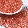 Transparent Glass Round Seed Beads SEED-B001-05A-24-1