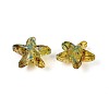 Picasso Transparent Glass Beads SEED-N012-02A-2