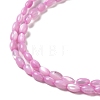 Natural Trochus Shell Beads Strands SHEL-K006-19A-3