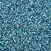 Glass Bugle Beads SEED-S032-08A-23-3