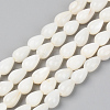 Natural Freshwater Shell Beads Strands SSHEL-R048-007B-1