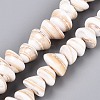 Natural Sea Shell Beads Strands SHEL-Q028-02-1