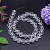 Faceted Round Imitation Austrian Crystal Bead Strands G-M182-10mm-01A-2