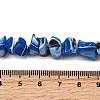 Natural Trochid Shell/Trochus Shell Beads Strands SHEL-B003-02G-4