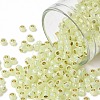 TOHO Round Seed Beads SEED-TR08-PF2109-1