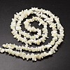 Natural Trochid Shell/Trochus Shell Beads Strands X-SSHEL-K014-07-2