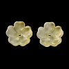 Dyed & Heated Gradient Color Glass Bead Cap GLAA-D307-01J-1