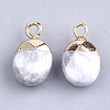 Electroplate Natural Howlite Charms G-S344-09F-2