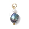 Natural Freshwater Pearl Potato & Shell Pearl Round Bead Pendants PALLOY-JF04714-01-2
