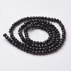 Faceted Glass Beads Strands EGLA-F124-M02-3