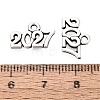New Year's Day Tibetan Style Alloy Charms LS-FIND-N014-01AS-3