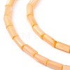 Natural Freshwater Shell Dyed Beads Strands SHEL-M018-11-4