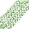 Transparent Glass Beads Strands GLAA-Q118-01A-B07-1