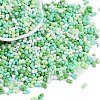 Glass Seed Beads X1-SEED-K010-03H-1