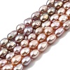 Natural Cultured Freshwater Pearl Beads Strands PEAR-I007-01P-04B-2