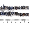 Natural Sodalite Beads Strands G-P530-A01-01-5