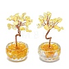 Natural Yellow Quartz Chip Pachira Glabra Display Decorations DJEW-K025-04F-1