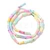 Rainbow Color Dyed Natural Freshwater Shell Beads Strands X1-SHEL-G018-02C-2