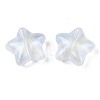 Transparent Acrylic Beads LS-OACR-N008-096-4