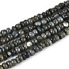 Natural Freshwater Shell Dyed Beads Strands SHEL-T020-29A-2