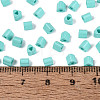FGB Baking Paint Glass Seed Beads SEED-Q040-09A-13-4