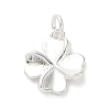925 Sterling Silver Charms FIND-Z069-04S-C-1