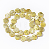 Drawbench Freshwater Shell Beads Strands SHEL-T014-012G-2