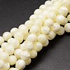 Natural Shell Beads Strands X-SSHEL-E571-39-4mm-1