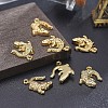 Alloy Pendants X-TIBEP-A040-015G-NR-4