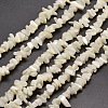 Natural White Mother of Pearl Shell Chip Bead Strands G-M205-63-1