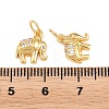 Brass Micro Pave Clear Cubic Zirconia Charms KK-H292-56B-G-3