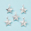 304 Stainless Steel Pendants STAS-I138-12S-2