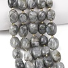 Natural Labradorite Beads Strands G-G453-D10-01-1
